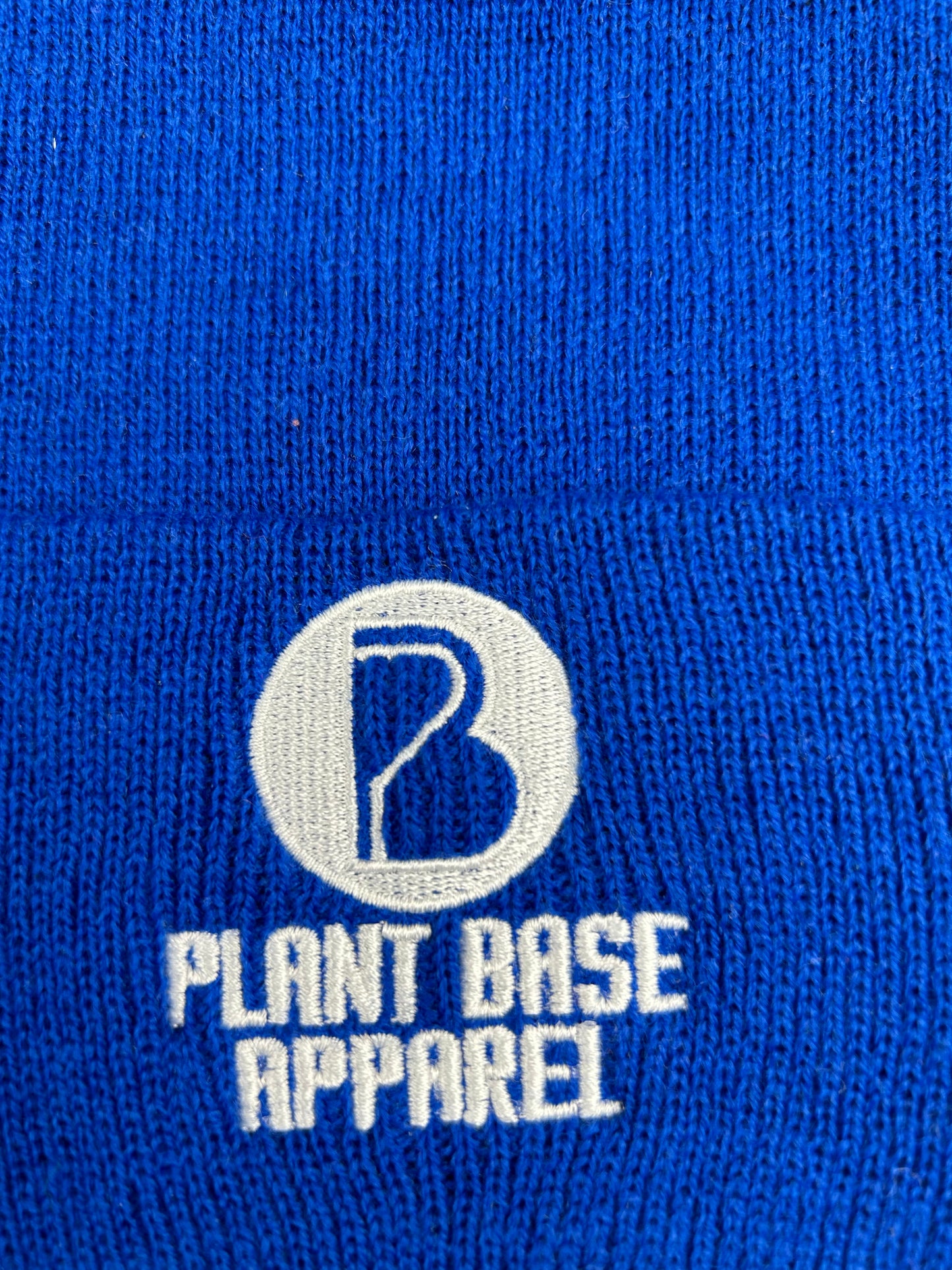 PLANT BASE APPAREL ROYAL BLUE WINTER SKULLY HAT